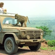 Image for article titled How To Run Away With Your Love On The 550,000-Mile Journey Of A Lifetime
